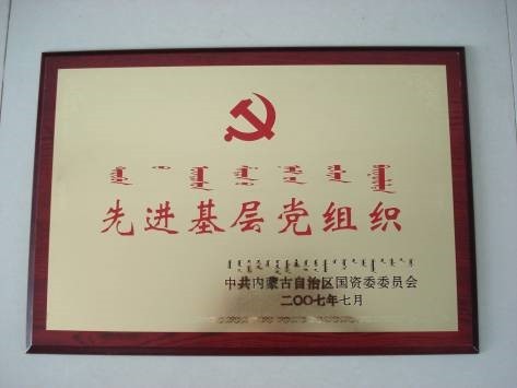 榮獲先進(jìn)基層黨組織