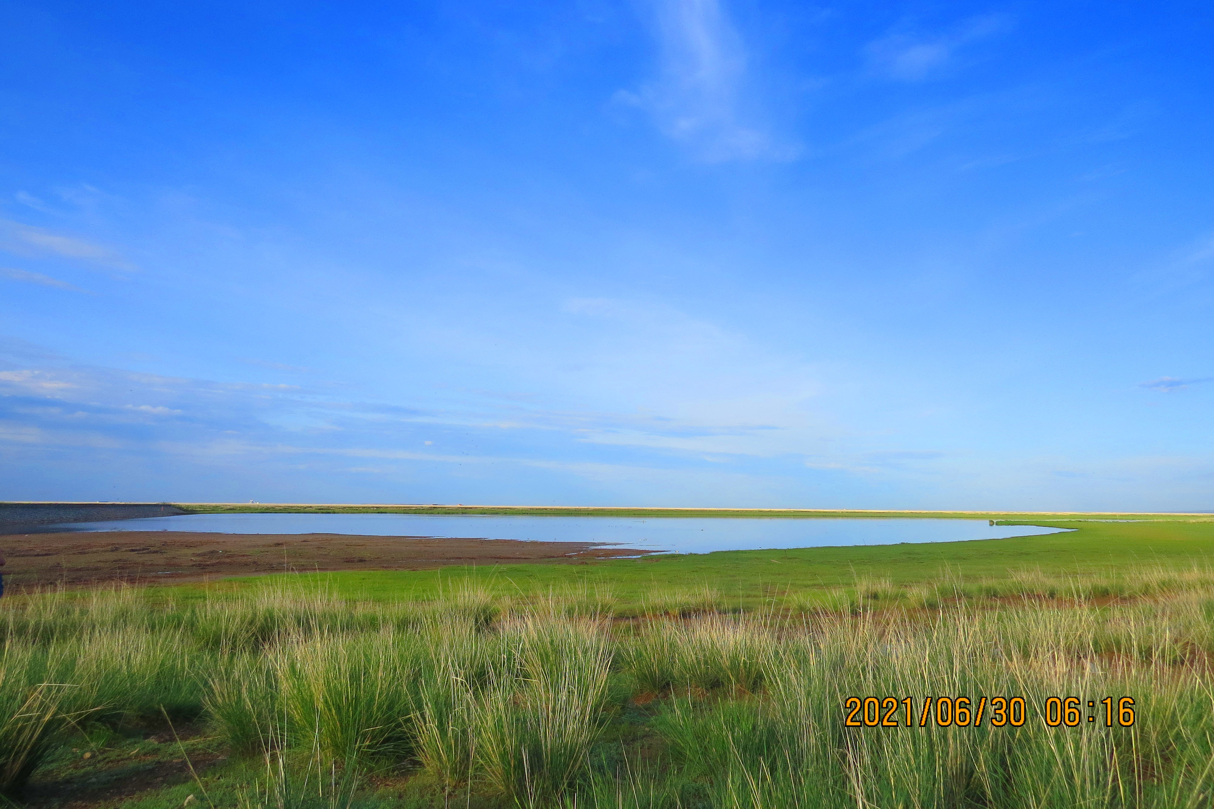 內(nèi)蒙古額吉淖爾制鹽有限公司真空精制鹽原料鹽洗滌線改造項(xiàng)目【網(wǎng)上競(jìng)價(jià)】(第1次重新招標(biāo))中標(biāo)公示