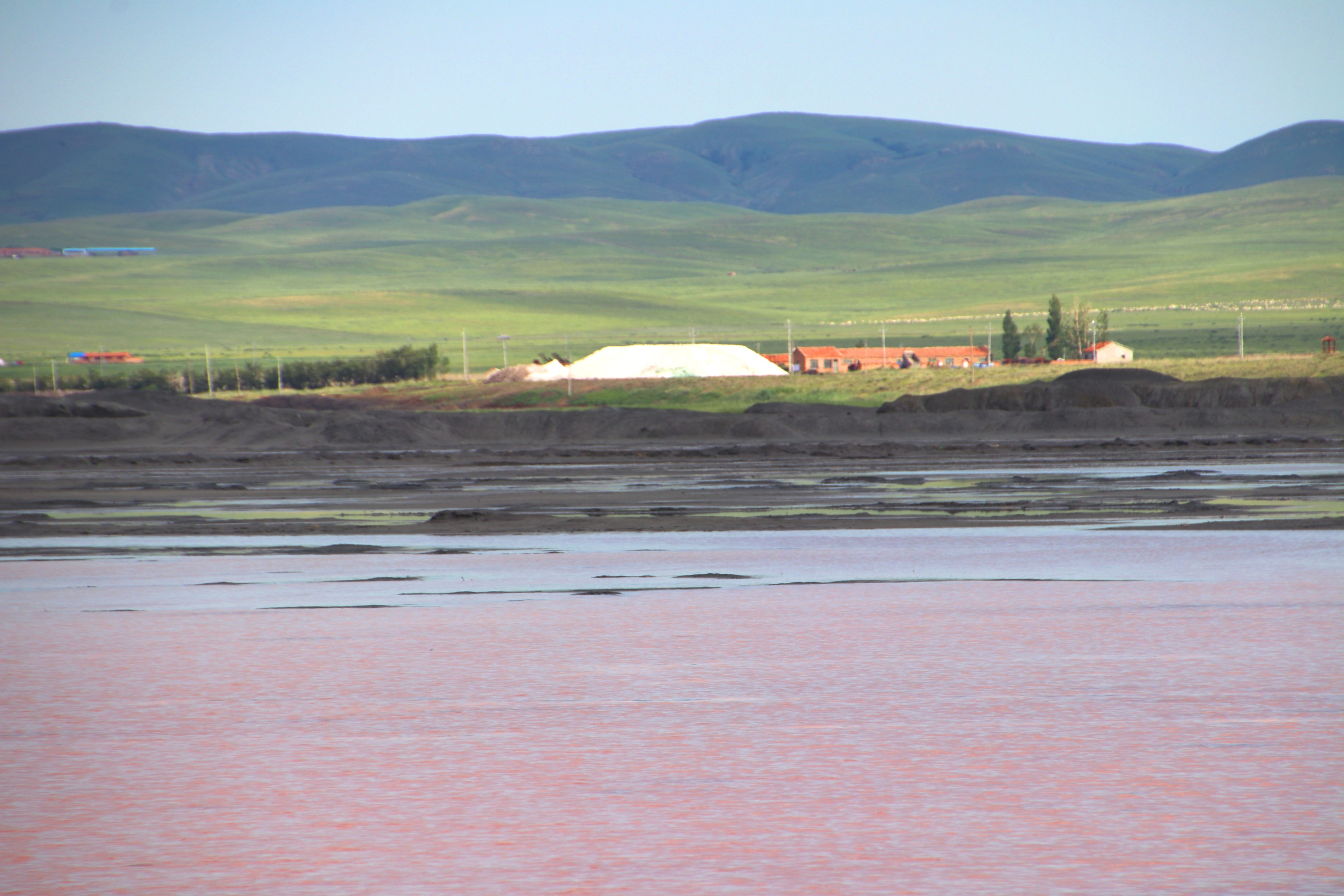 內(nèi)蒙古額吉淖爾制鹽有限公司2021年動(dòng)力燃煤采購項(xiàng)目成交公示