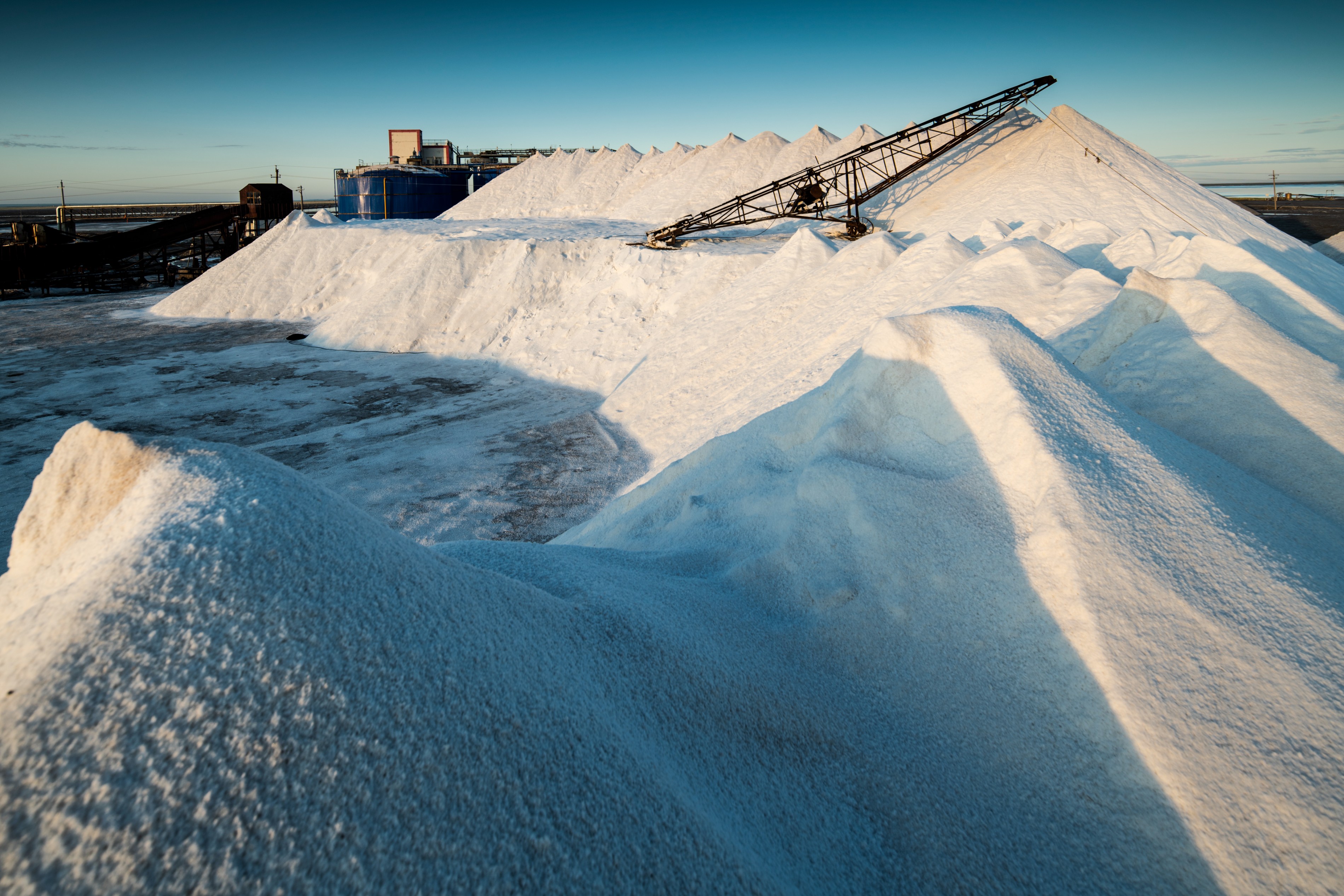 內(nèi)蒙古額吉淖爾制鹽有限公司2024年叉車(chē)裝卸倒運(yùn)作業(yè)外包服務(wù)項(xiàng)目【網(wǎng)上競(jìng)價(jià)】