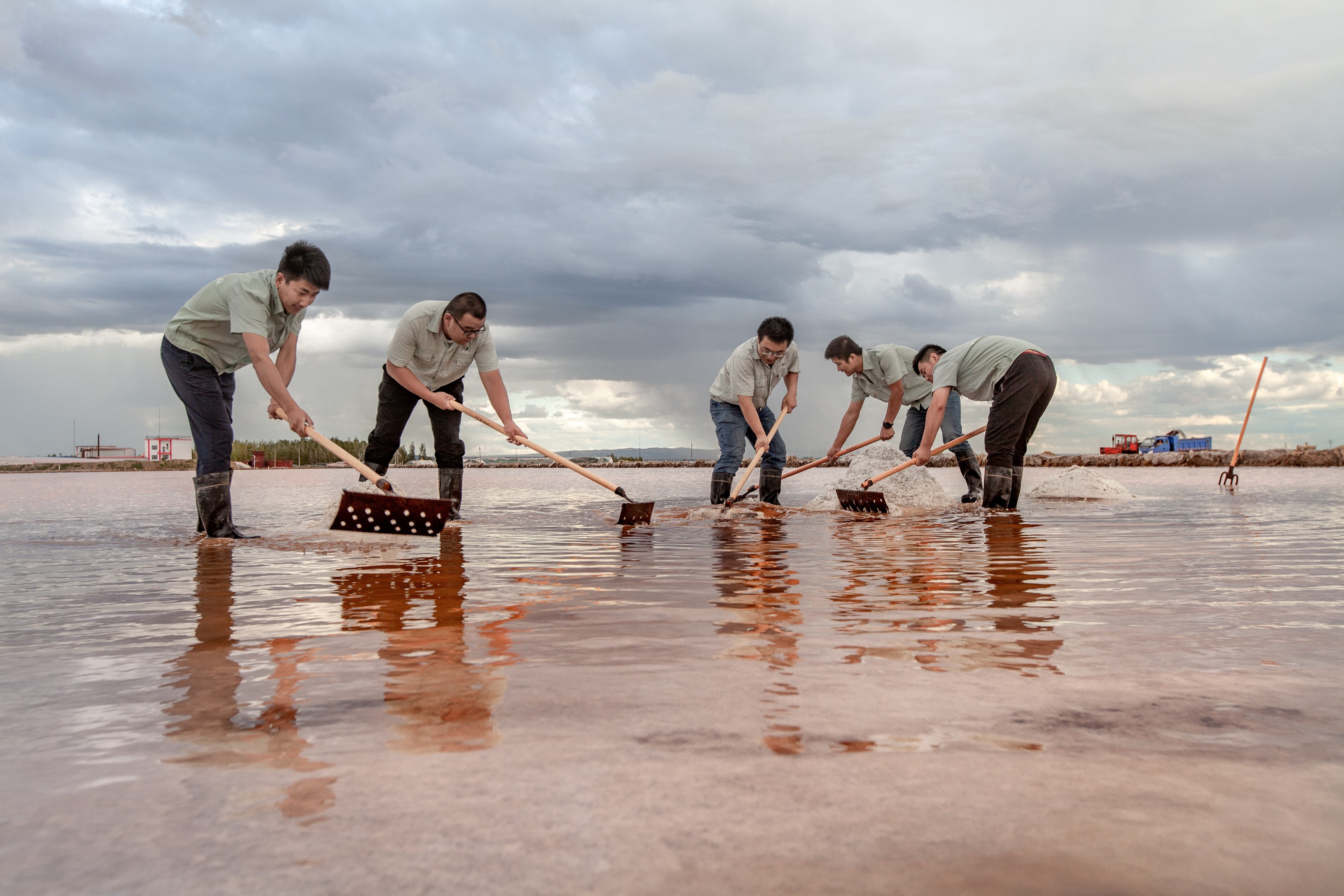 內(nèi)蒙古額吉淖爾制鹽有限公司 職業(yè)病危害因素檢測、評價檢測、評價，編制評價報告服務(wù)采購公告