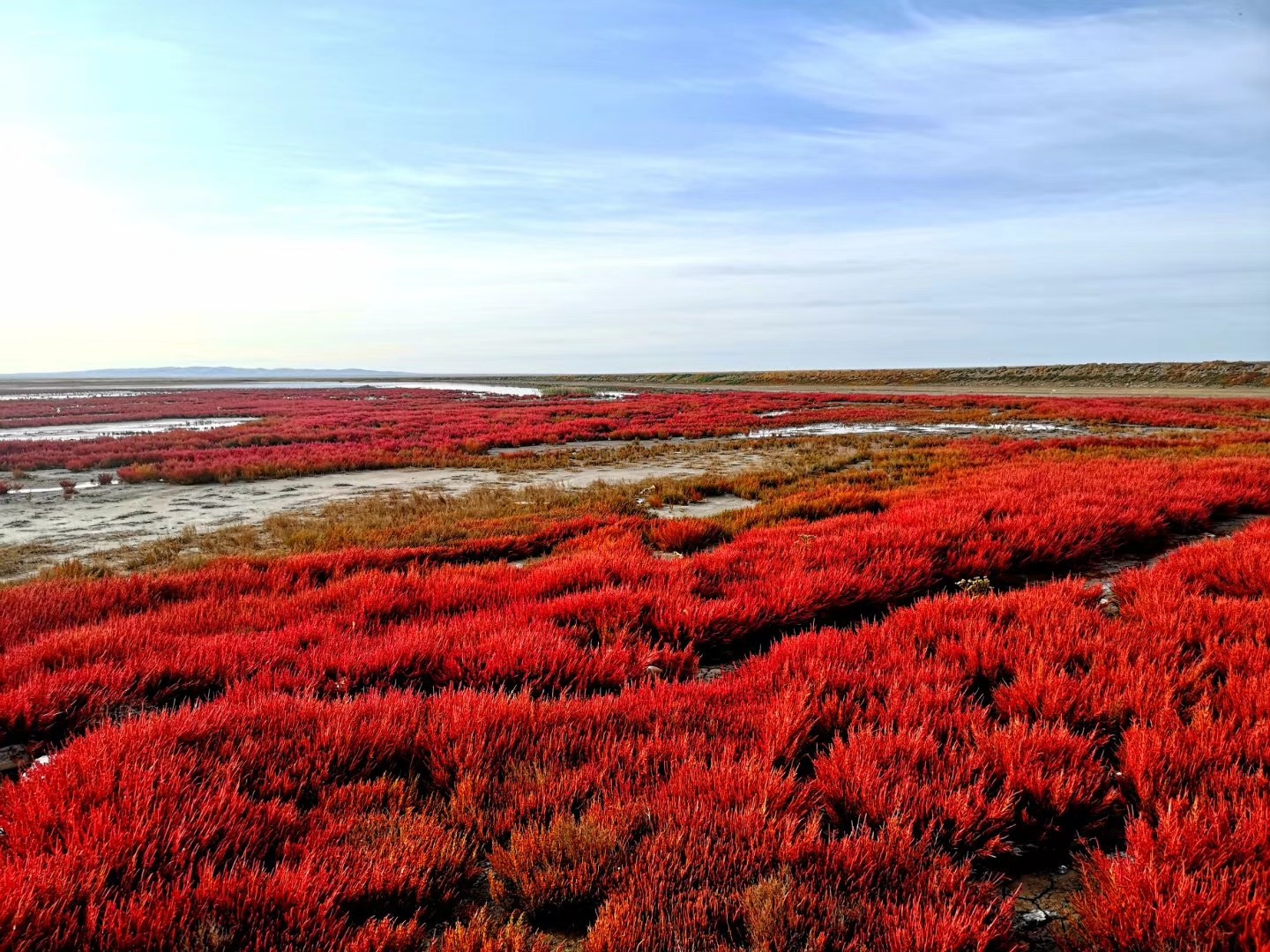 額吉淖爾制鹽有限公司2025年招聘進入筆試人員名單公告