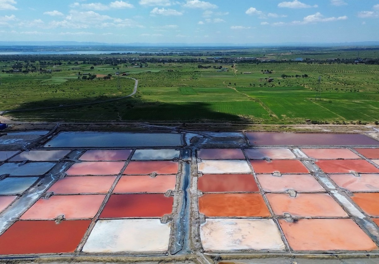 內(nèi)蒙古額吉淖爾制鹽有限公司 玻璃儀器校準(zhǔn)技術(shù)服務(wù) 網(wǎng)上比價采購公告